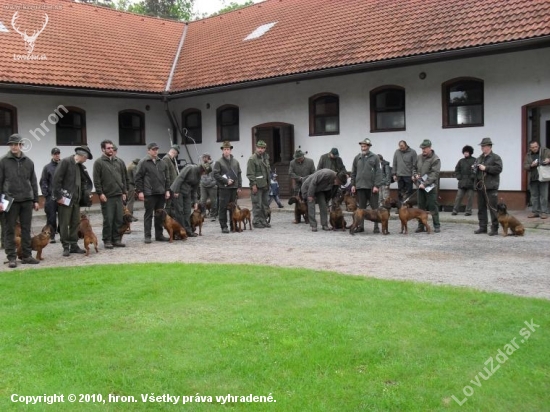 Klubová výstava barvářů