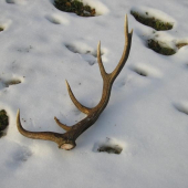 dnes ráno - vedľa seba