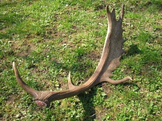 len tak na prechádzke