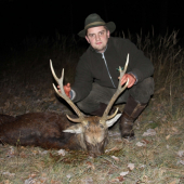 Sika - z pohřebiště