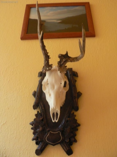 a ještě jedna k ID 45390