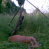 letos již druhý paličkář