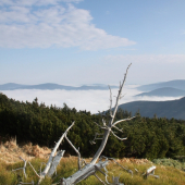 Jeseníky jedny z mojich nejoblíbenějších hor