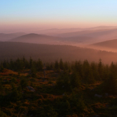 ráno na Oblíku (Šumava)