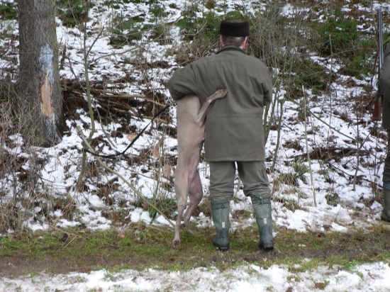 Dva kámoši :) na honu