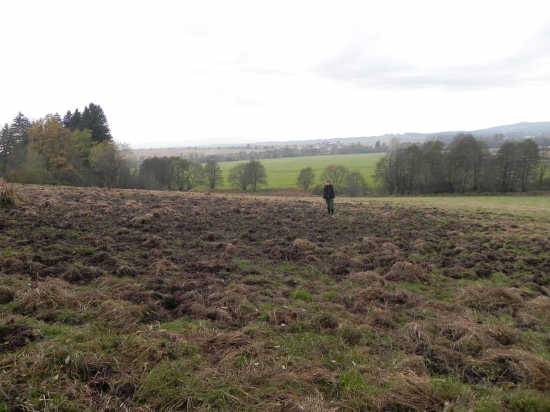 Toto asi nespravil jeden diviak..  :-D