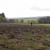 Toto asi nespravil jeden diviak..  :-D