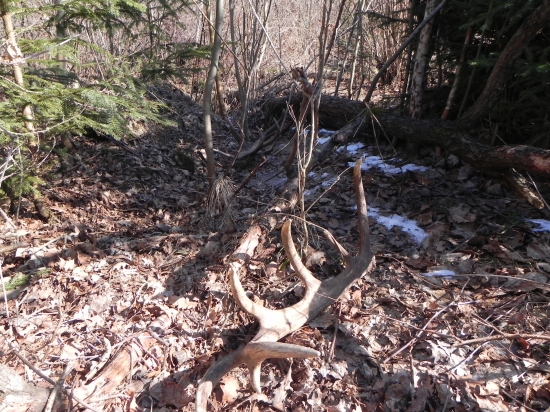 Vcerajsie kamaratove prve v zivote cerstve neskutocna radost...