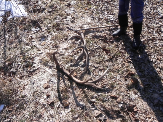 Pravidelny 14-torak kamaratov...