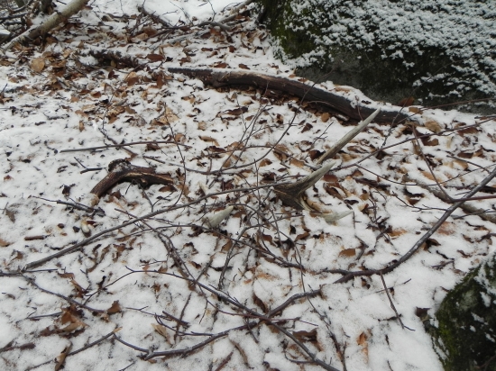 Na tejto ho uz hadam vidite...