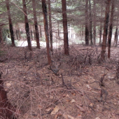 Pred vcerom prvy pohlad