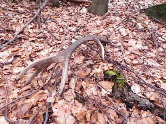 3 v poradi za jeden den