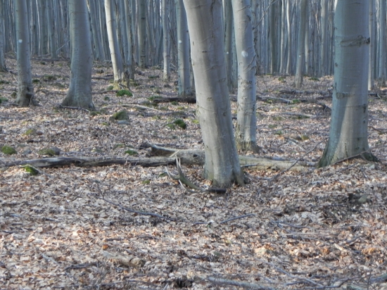 Moj najvecsi v zivote  prvy pohlad