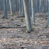 Moj najvecsi v zivote  prvy pohlad