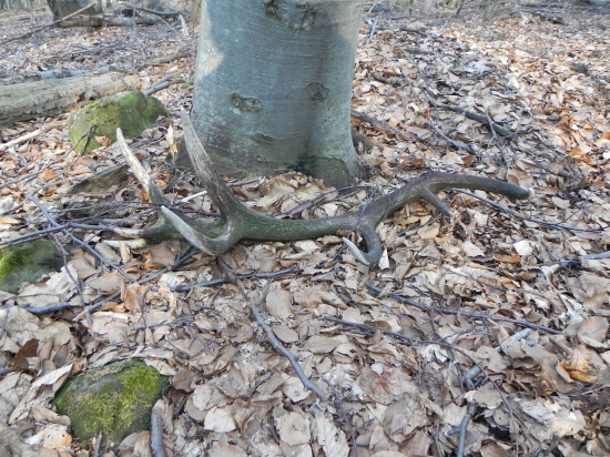 Moj najvecsi v zivote 2