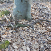 Moj najvecsi v zivote 2