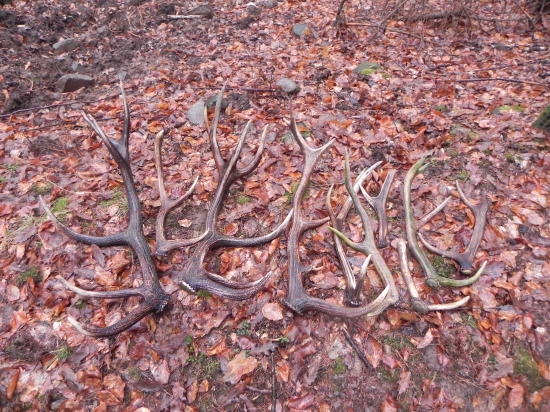 Prva vychadzka s ocom....