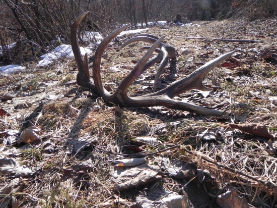 BOlo radosti tuto jar..   :-D