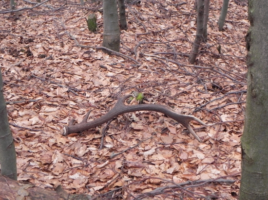 Este sa zmestil...   :-D