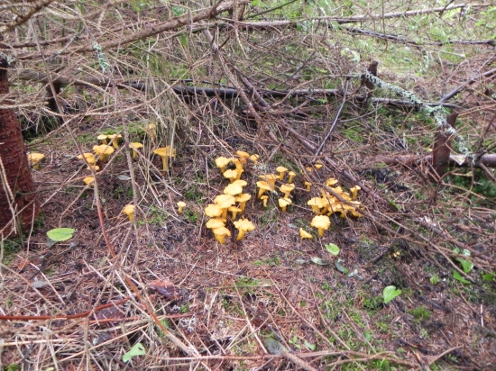 Iba to co sa tam zmestilo...