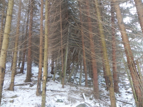 Typujem tak 30 rokov a viac