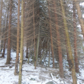 Typujem tak 30 rokov a viac