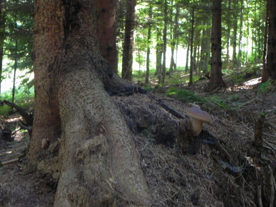 Pekne miseto si nasiel