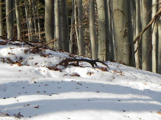 Dneska, 12-torak  -  prvy pohlad