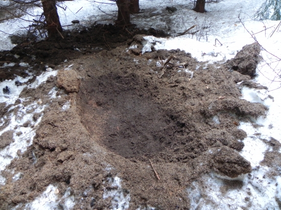 Bola uz prec a zobrala zo sebou aj novorodencov