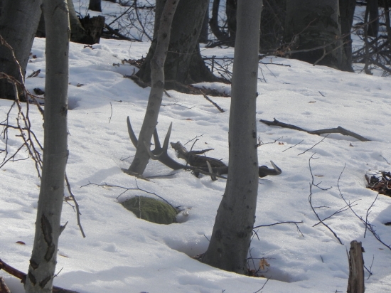 O 3 dni sa  podaril aj druhy :-D 14-torak   Prvy pohlad