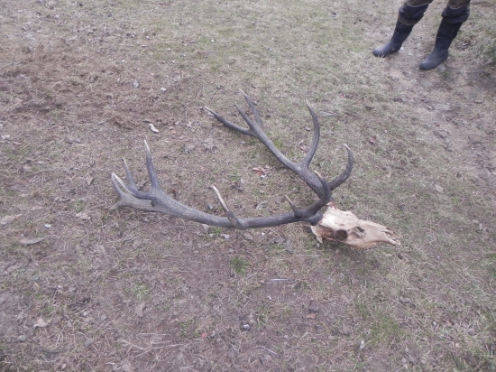 skoda ze niesom nalezca... :-D