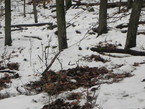 Neni to tak ako to vyzera...