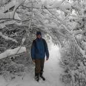 Worm na polovnickom chod...