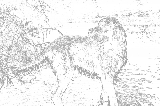 Goro,Zoom z Holubické stráně