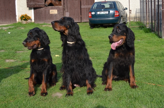 Goro na návštěvě ve svém rodišti