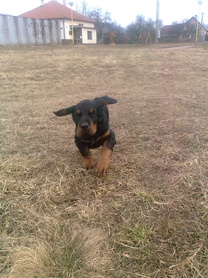 Tak vypadal před půl rokem