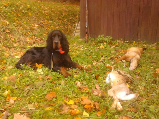 Goro-Zoom z Holubické stráně