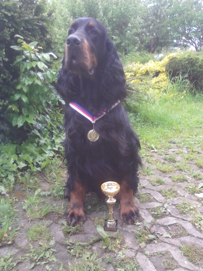 Zoom z Holubické stráně