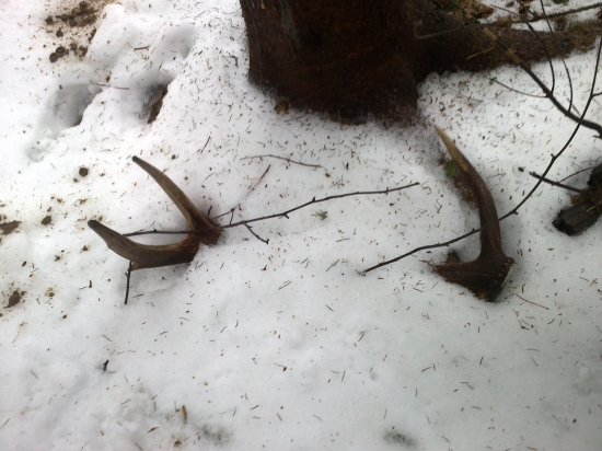 A takto si ležal aj braček... :)