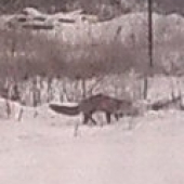 Tiez prisla do prace.