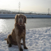 wajmarsky dl.stavač