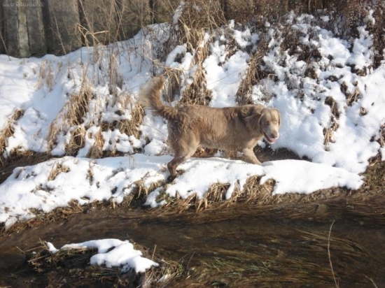 wajmarsky dl.stavač