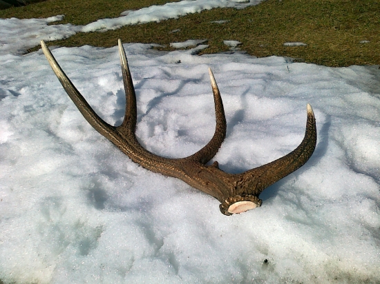 dnes ráno - prvý 2012