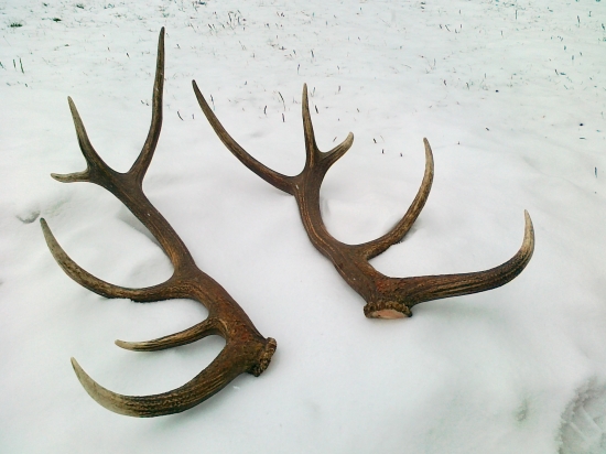 dnes na obed - prvý pár 2012