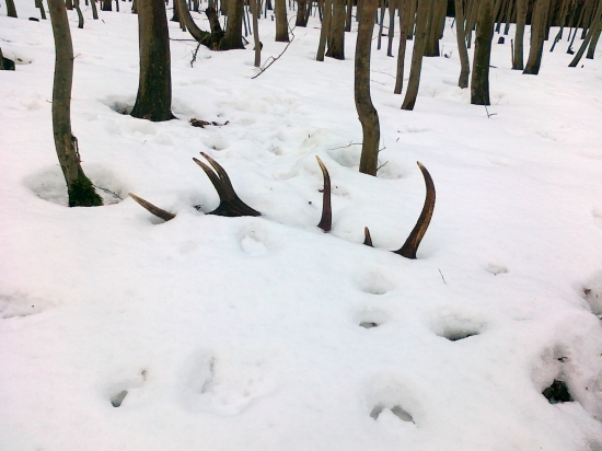 ...prvý pohľad...milujem...