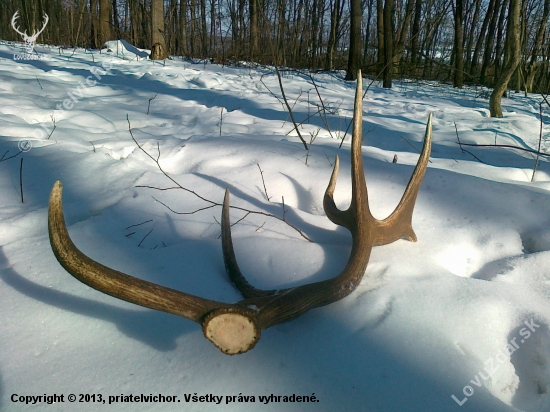 dnes ráno - prvý 2013