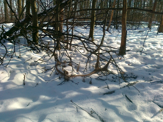 včerajší - prvý pohľad