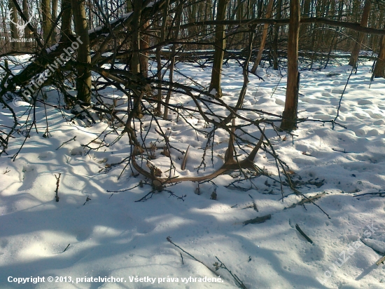 včerajší - prvý pohľad