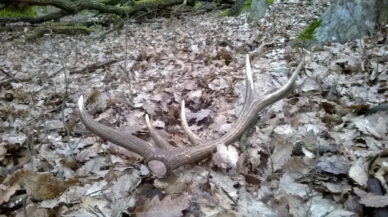 slabší...ale ráta sa