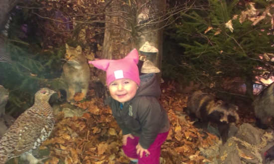 Chovatelska v Betliari